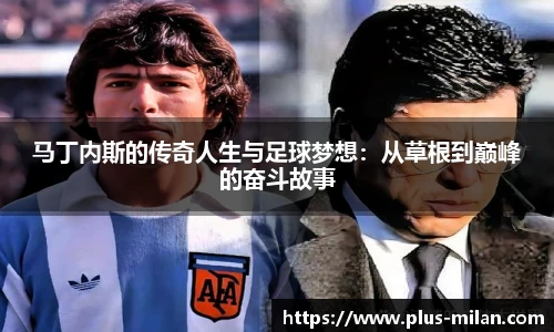 米兰体育官方网站入口